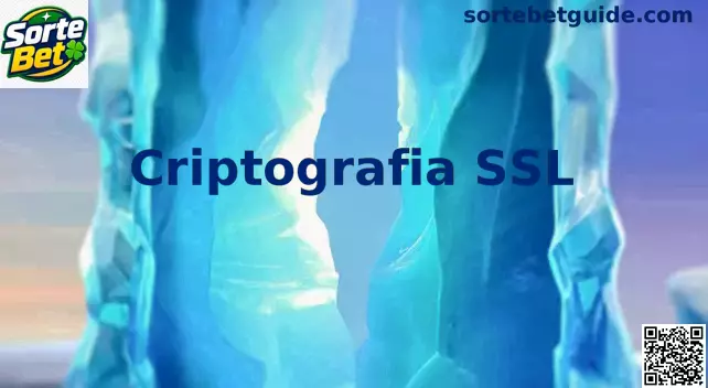 Infográfico detalhado sobre a infraestrutura de criptografia SSL e protocolo HTTPS na plataforma Sorte Bet
